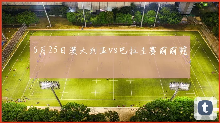 6月25日澳大利亚vs巴拉圭赛前前瞻