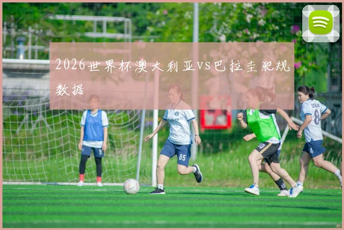2026世界杯澳大利亚vs巴拉圭犯规数据